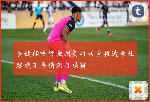 黄健翔呼吁裁判员对话全程透明让球迷不再猜测与误解
