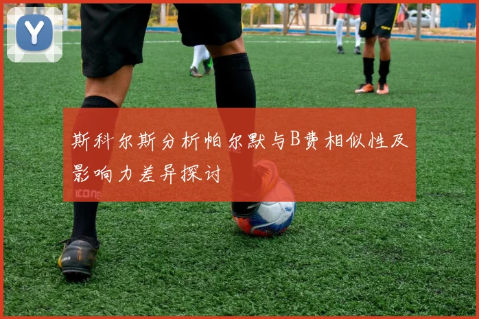 斯科尔斯分析帕尔默与B费相似性及影响力差异探讨